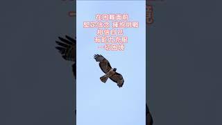 139 在困難面前堅定信念，擁抱挑戰... #shorts