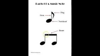 What Are The Parts Of A Music Note?