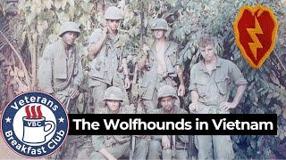 My 365 Days with the Wolfhounds in Vietnam