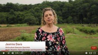 Jeanine Davis, Horticulture Extension Specialist (Herbs, Organics, Specialty Crops and Vegetables)