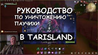 Руководство по убийству паучихи в TARISLAND от GradoboevTV