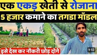 dhaan ki fasal Pani Na milane ka karnधान की खेती  haw topic