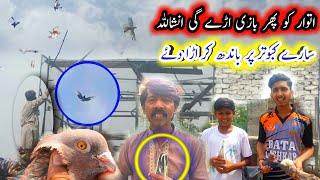 Pola G Pigeons Racing Tournament main ure ge | Pola G Pigeon Club