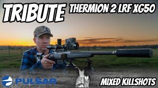 Bolt Action Kill Shots with a Pulsar Thermion 2 LRF XG50 Thermal Optic Sight || 17HRM 6BR & 308Win