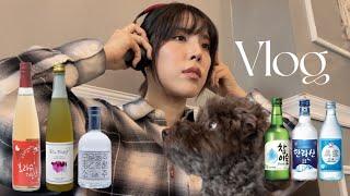 [Vlog]  알콜 모음.zip (소주, 막걸리, 전통주, 복분자) | 모을동주, 라이스퐁당, 보리수 헤는밤 | 혼술 | 안주 조합(피자, 육회, 대방어, 삼겹살, 장어)