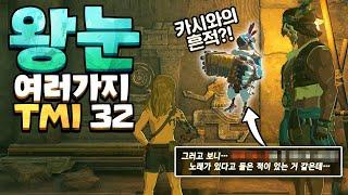 젤다 왕눈 신박한 디테일과 TMI 32 (젤다의 전설 티어스 오브 더 킹덤)