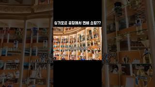 창이공항, 쇼핑하기 좋을까?? #창이공항 #신혼부부브이로그 #신혼여행 #신혼부부 #신혼여행브이로그 #여행유튜버 #싱가포르 #싱가포르쇼핑 #싱가폴쇼핑 #싱가포르공항