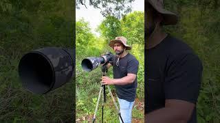 "Explore Jungle Birds – Wildlife Photography in Action" #birds #photography #vibrantbirds #rarebird