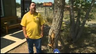 Man has close encounter with lightning