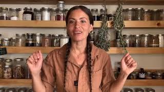 The Witches Herb: 6 Ways to Work with Mugwort