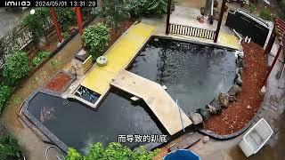 蛋蛋的锦鲤日志：鱼产卵后的操作；疑似交叉感染的处理方法。