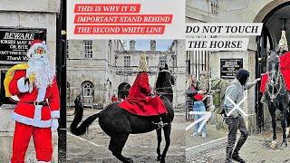 This Man Keeps Bothering the King's Guard by Touching His Horse Whenever He Passes the Horse Guards