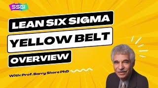 Lean Six Sigma Yellow Belt | What is Yellow Belt Certification? [Lean Six Sigma for Beginners]