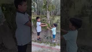 A little boy on a field like subscribe #subscribe #like #cute #freesub #subsribe #youtuberchannel