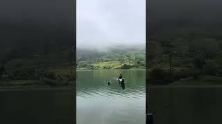 Lost in the calm of the misty lake in Sri Lanka️ #castlereighreservoir #travel #asiancountry
