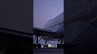 ASMR: Powerful Jet Engine Sounds & Runway Whispers | Boeing 747 Dusk Ambiance