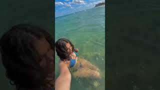 Life lately 🫶 #lifelately #lifestylevlog #life #lifeinflorida #floridagirl #beach #beachvibes