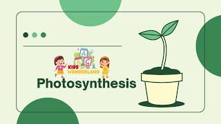  **Photosynthesis - How Plants Make Their Food! | Science for Kids | Kids Wonderland Zone** ️
