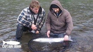 Giant Chrome Winter Steelhead in BC on the Fly with Captain Quin