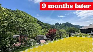 How I ended up buying land in “rural” Japan