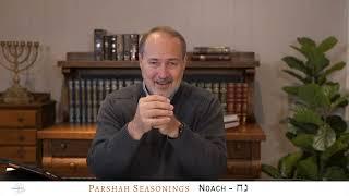 Parshah Seasonings - Noach