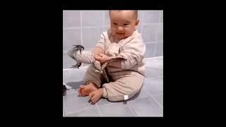 Cute Baby' #babyshorts #cutebaby #trending