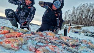 ДВА ГОДА ИСКАЛ ТАКУЮ РЫБАЛКУ! Крупные лопаты на тяжелые мормышки! Нарвались на стаю леща!