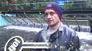 Shaw TV North: "Salmon Enhancement In Powell River"