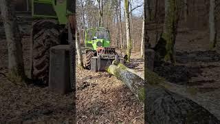 Ťažba dreva, Zetor Proxima, Orvex LT 100,Logging, Forestwork #shorts