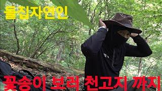 천고지 오르기가 #돌집자연인