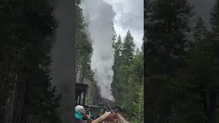 Train ride at Yosemite Mountain Sugar Pine Railroad California