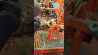 ОТЗЫВ: обучаем специалистов #корова #сельскоехозяйство #ферма #ветеринар #животные #копыта #крс