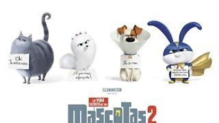 La vida secreta de tus mascotas película completa en español 