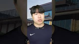 포켓몬 vs 디지몬