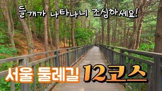 새로워진 서울둘레길 2.0 / 12코스 7.3km 걸어보기 / 관악산역에서 석수역까지 / 호암산코스