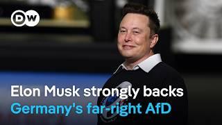 How influential is Musk among the far right in Germany? | DW News