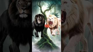 Black Lion vs Animals #animalbattle #shorts