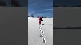 Красота по Швейцарски
