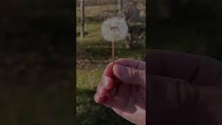 #видеограф #астана #жизнь #жить #жизньпрекрасна