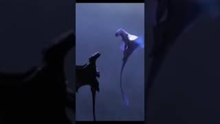 Это прекрасно! #какприручитьдракона#драконы#кпд#shortvideo#shorts#httyd#эдит#едит#какслепить#dragon