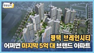 평택 브레인시티 한신더휴 현장답사 | 분양가상한제 | 살집채널