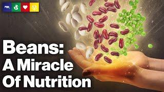 Beans - A Miracle Of Nutrition