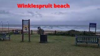 winklespruit beach