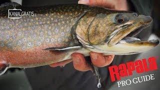 Rapala Pro Guide | Ice Fishing for Rainbow Trout