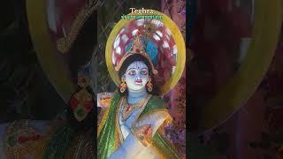 Teghra Janmashtami Mela 2024 | श्री कृष्ण जन्माष्टमी मेला | Day 1 #shortsviral#janamashtami