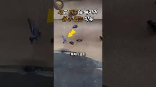 곡물저장소에서 빠지면 위험한 진짜 이유 #shorts