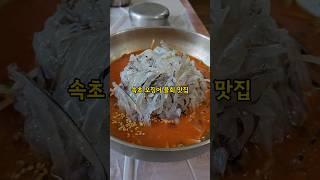 속초 오징어 물회 맛집 #속초맛집 #완도회식당 #오징어회 #물회