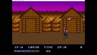 Double Dragon 2 The Revenge God Mode (Double Dragon 2 The Revenge Hack)