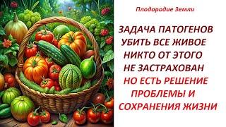 Уничтожая биоту в земле люди убивают себя#592/240