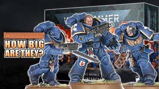 $60 Space Marines Assault Intercessors Unboxing & Build